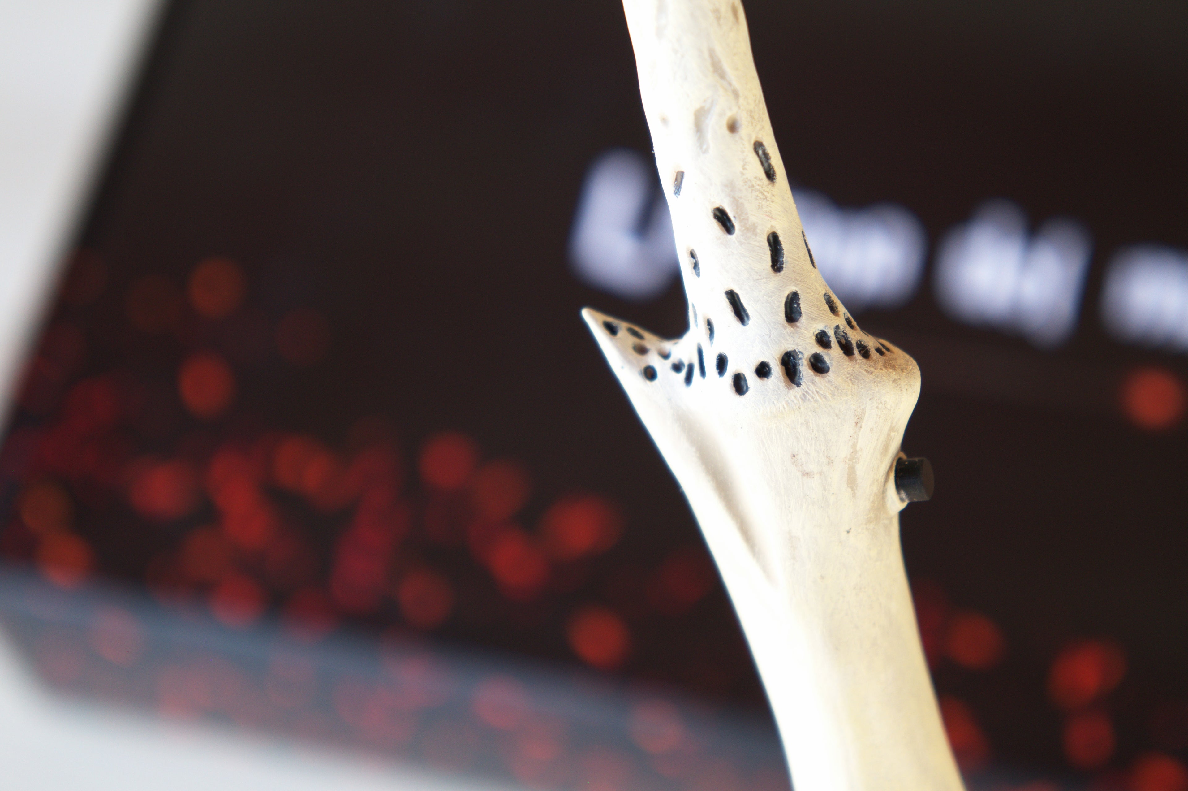 Bacchetta incendio Lord Voldemort